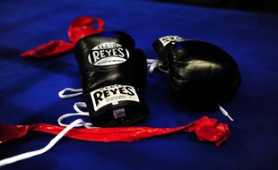 Des gants de boxe (illustration).