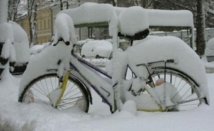 Quinze centimètres de neige bloquaient encore la circulation vendredi 16 novembre 2007 à Vienne.