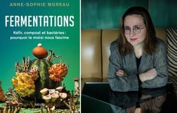 Pourquoi sommes-nous tant fascinés par le moisi ?
