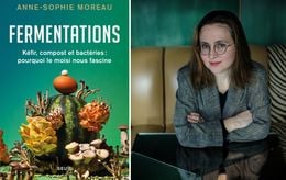 Pourquoi sommes-nous tant fascinés par le moisi ?