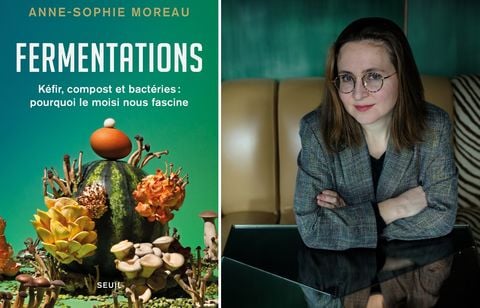 Pourquoi sommes-nous tant fascinés par le moisi ?