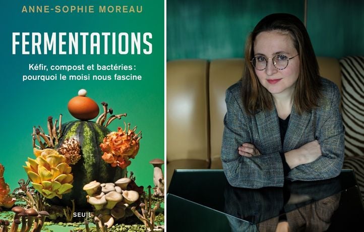 Pourquoi sommes-nous tant fascinés par le moisi ?