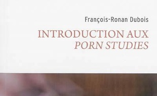 Introduction aux porn studies