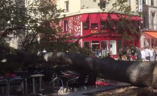 Un arbre est tombé sur une terrasse de restaurant ce jeudi à Potiers