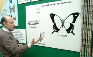 La volière aux 150 papillons, à Haute-Goulaine.