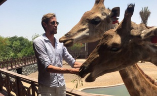 Photo du compte Twitter de Peter Crouch, qui passe «du bon temps en famille»... avec des girafes.