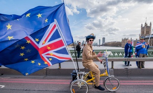 Un militant contre le Brexit manifeste (illustration).