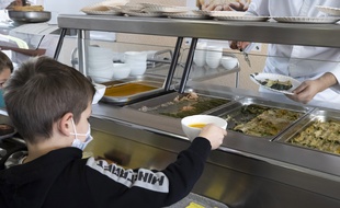 La convention citoyenne souhaitait rendre obligatoire l'option végétarienne quotidienne dans la restauration collective publique dès 2022. Photo illustration.