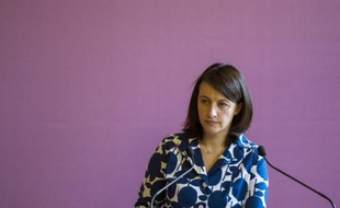 Cécile Duflot, ministre EELV du Logement, a tenu à souligner mardi que la transition écologique était un "cap politique à réaffirmer très fortement", alors que sa collègue à lÉcologie, Delphine Batho, avait déploré dans la matinée la baisse de ses crédits pour 2014.