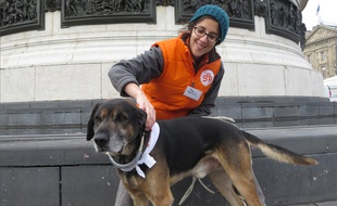 Paris, le 14 décembre 2014. Julie, une militante de la SPA, prend la pose avec Simba, à l'occasion du Noël des animaux.