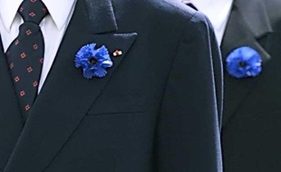 Le Bleuet de France, illustration.