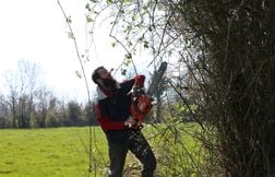 Un homme meurt dans son futur jardin, écrasé par l’arbre qu’il était en train de couper