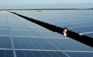 Le parc de panneaux photovoltaïques de Cestas (Gironde), l'un des plus grands d'Europe, le 1er décembre 2015