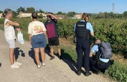 Trois chiens meurent empoisonnés par des boulettes de viande dans le Gard