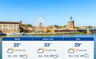 Météo Toulouse: Prévisions du jeudi 8 août 2019