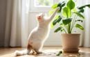 Votre chat s’attaque à vos plantes ? Les vraies raisons de ce comportement et les solutions pour protéger sa santé (et votre intérieur)