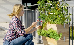 La jardinière connectée et intelligente développée par la start-up Agrove.