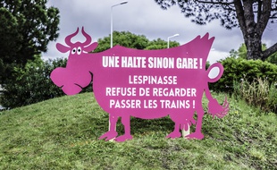 Une des quatre vaches qui sont apparues à Lespinasse.