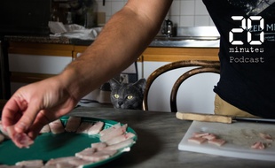 Illustration d'une personne et d'un chat en cuisine