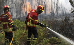 Plus de 900 pompiers sont mobilisés pour tenter d'arriver à bout des flammes qui ravagent la région de Leiria au Portugal.