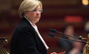 Catherine Vautrin à l'Assemblée nationale le 10 mars 2009.