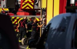 Coincé sur une falaise, un chien est sauvé in extremis dans le Lot