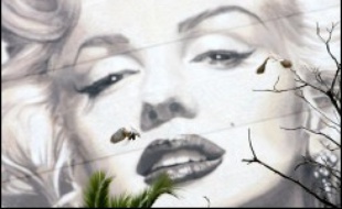 Le carnet d'adresses de Marilyn Monroe a été adjugé aux enchères jeudi pour 31.000 dollars chez Christie's New York, lors d'une vente incluant des centaines de reliques de stars, notamment une célèbre perruque d'Andy Warhol, vendue 10.800 dollars.