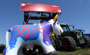 Les producteurs de lait, engagés dans un bras de fer avec le groupe Lactalis, exigent d'être payés 385 euros pour mille litres de lait