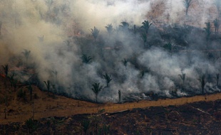 Le groupe de luxe français LVMH a annoncé un don de 10 millions d'euros pour soutenir la lutte contre les incendies en Amazonie, soit plus de la moitié de la somme déjà promise par les membres du G7.