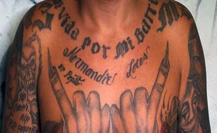 Les tatouages d'un membre de la Mara Salvatrucha, le 30 septembre 2014 à Tegucigalpa
