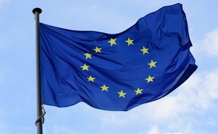 La Commission européenne a enfin dévoilé ses critères de définition des « perturbateurs endocriniens ».