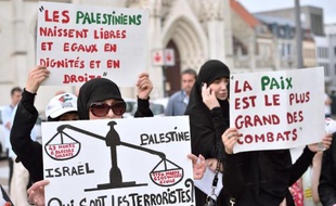 Des manifestants propalestiniens protestent contre les frappes israéliennes sur Gaza, le 29 juillet 2014 à Roubaix