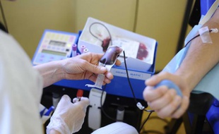 Un jeune homme donne son sang dans les locaux de l'etablissement francais du sang (EFS), operateur unique de la transfusion sanguine en France le 26 mai 2010.