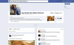 Capture d'écran de la page Facebook de Ray Charles, un golden retriever aveugle, le 29 mai 2013.
