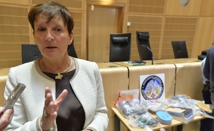 La procureur de la République de Bordeaux Marie-Madeleine Alliot a expliqué que 11 personnes avaient été interpellées.