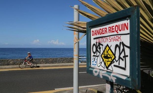 Une pancarte mettant en garde contre les requins apposé le long de la plage de l' Etang Salé à la Réunion