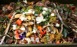 Les possibilités sont nombreuses pour faire du compost en milieu urbain.