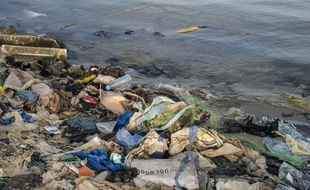 Photo d'illustration - Les déchets et débris plastiques couvrent le sable des plages, des mers et des océans un peu partout dans le monde libérant leurs constituants chimiques dans les eaux.