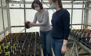 Stéphanie Cluzet et Aleksandra Burdziej présentent les plantes qui ont passé près d'un an sur la Station Spatiale Internationale
