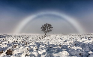 Un arc-en-ciel blanc, ou un «arc de brouillard» photographié en Ecosse par Melvin Nicholson.