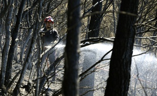 Les pompiers ont lutté toute la nuit contre ce feu de forêt (illustration)