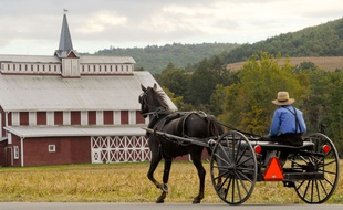 Les Amish constituent un groupe religieux qui vit à l'écart de l'ère moderne (illustration).