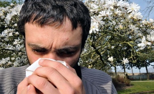 La saison des allergies aux pollens a commencé. Illustration.