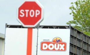 Les salariés du groupe volailler Doux, en grande difficulté financière, seront fixés sur leur sort le 6 juillet, au lendemain du dépôt des offres de reprise au tribunal de commerce de Quimper, ont annoncé les syndicat vendredi à l'issue d'un comité central d'entreprise.