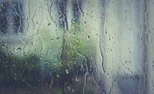 Pluie. (Illustration)