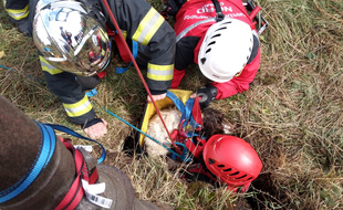 Les pompiers ont sauvé un chien tombé dans un puits.