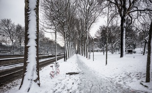De la neige à Paris. (Illustration)