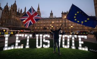 Un militant anti-Brexit manifeste devant le Parlement britannique, le 27 mars 2019.