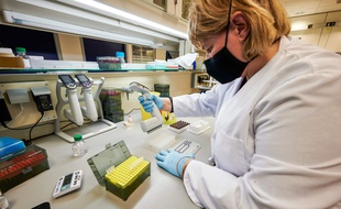 Des scientifiques au laboratoire de Reykyavik travaillent sur le séquençage du SARS-CoV-2.