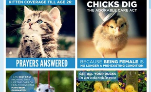 Photos du compte twitter «Adorable Care Act»